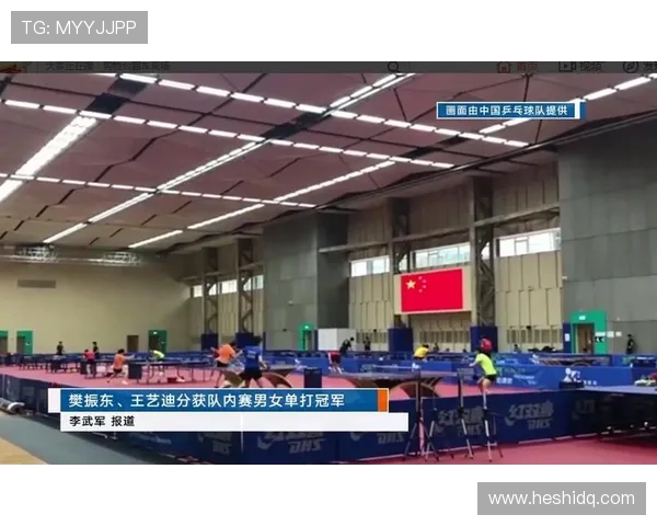 南京乒乓球队在联赛中的比赛经验与表现分析及启示