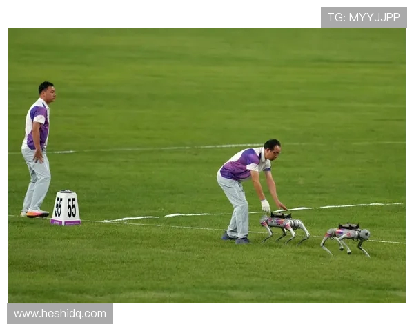 俞长栋：从科学探索到人文关怀的多维人生旅程与思考